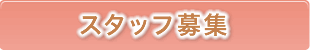スタッフ募集